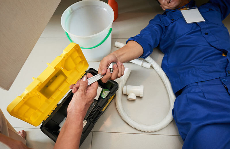 Expert Service